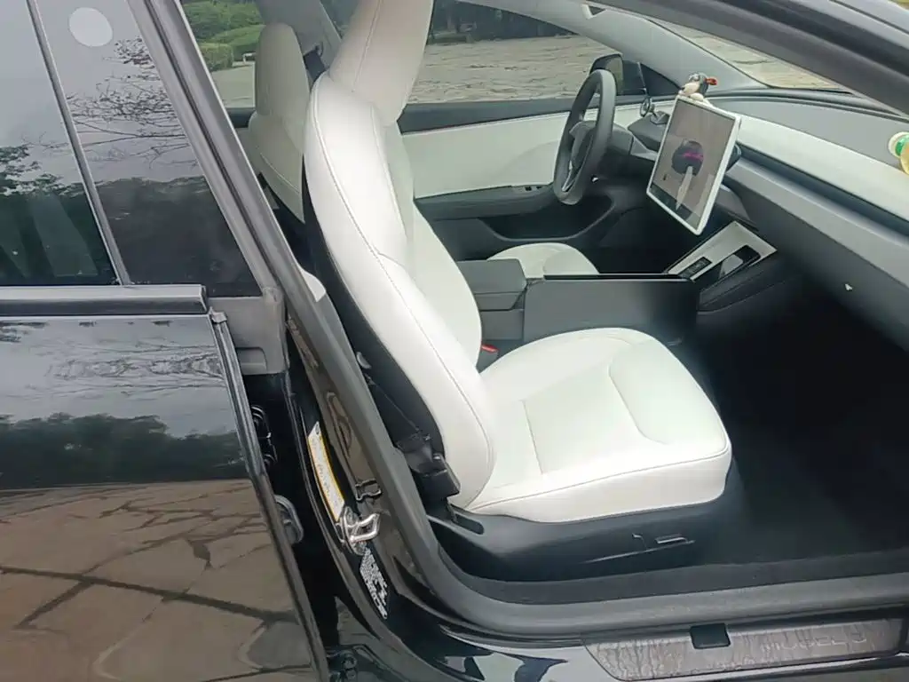 Tesla Model 3 — миниатюра 25