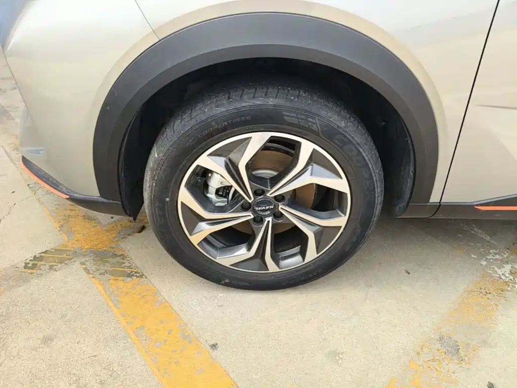 Haval Shenshou — миниатюра 23