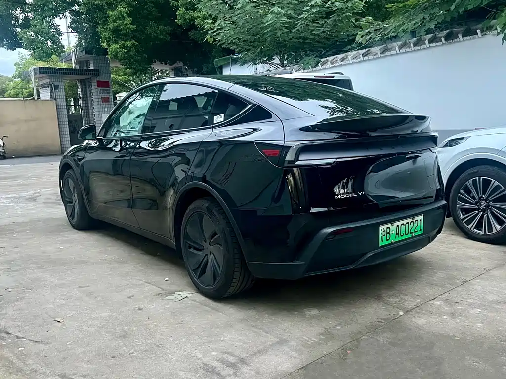 Tesla Model Y — миниатюра 4