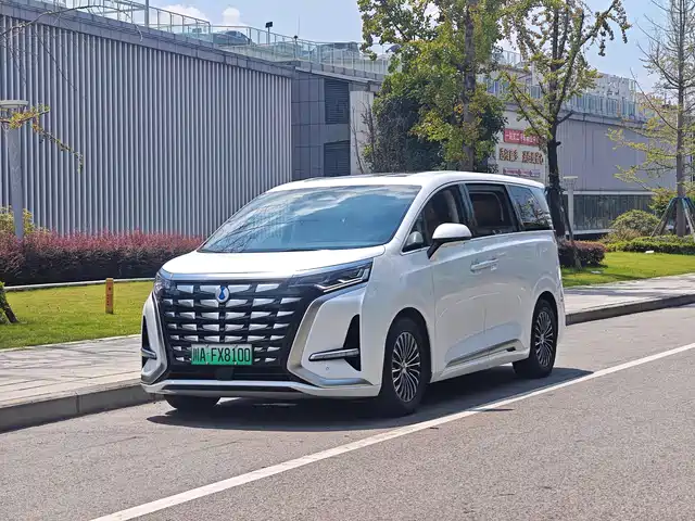 Denza D9
