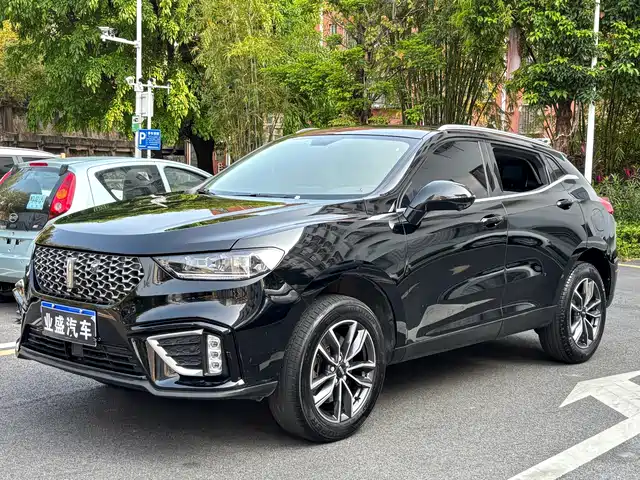 2021 Wey VV5