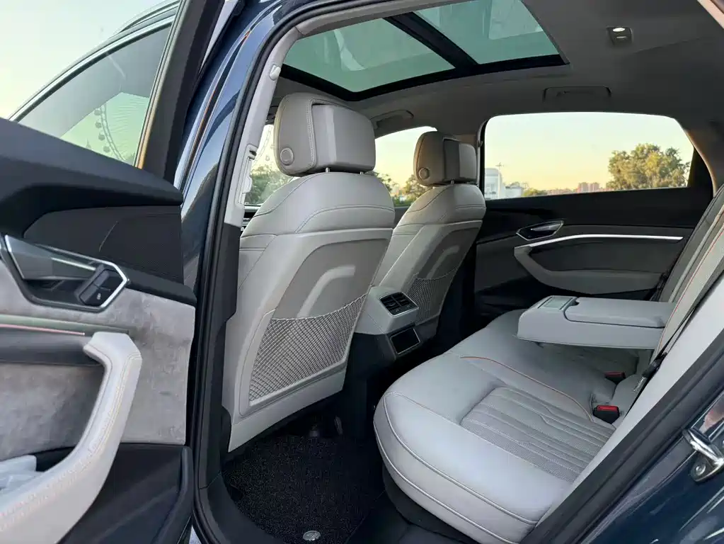 Audi e-tron (Import) — миниатюра 11