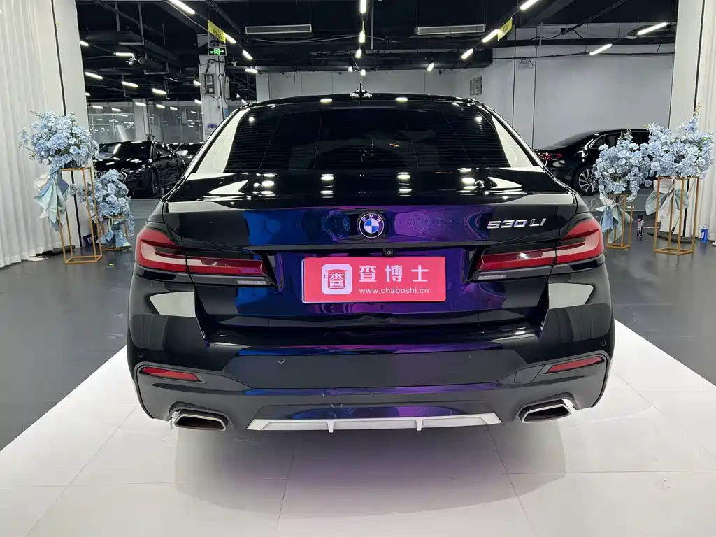 BMW 5 Series — миниатюра 10