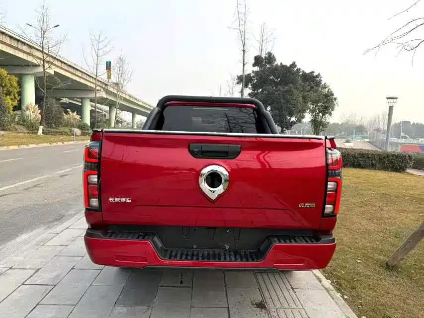 Great Wall Pao — миниатюра 8