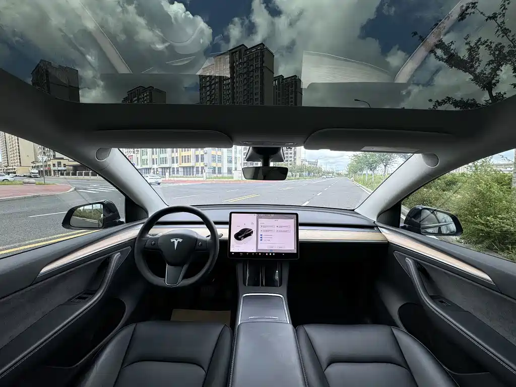 Tesla Model Y — миниатюра 6