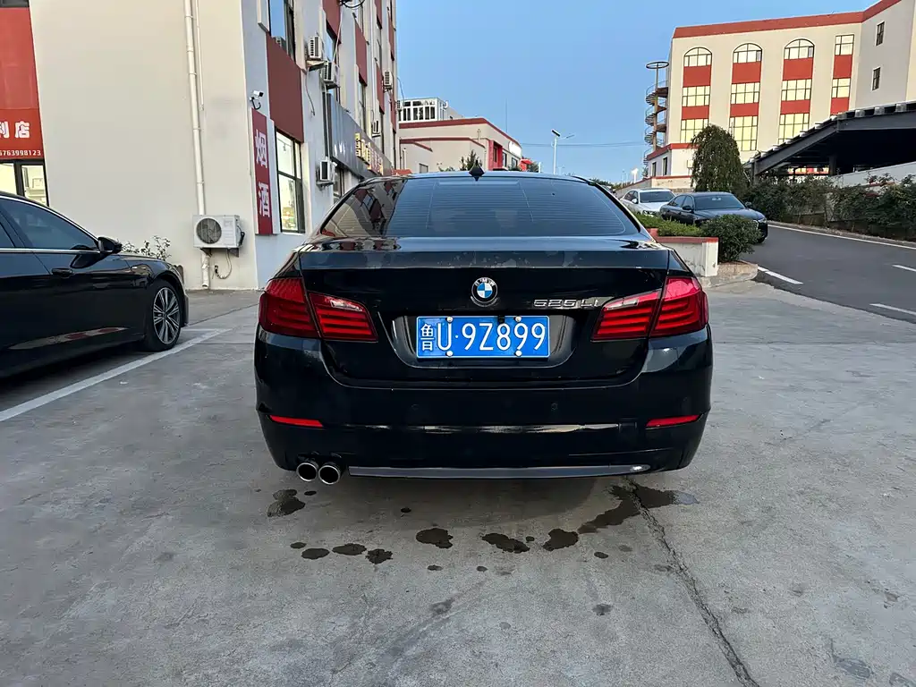 BMW 5 Series — миниатюра 5