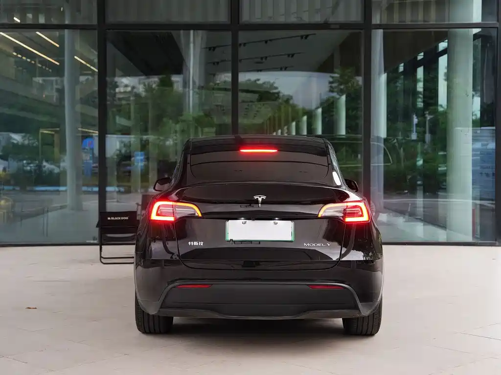 Tesla Model Y — миниатюра 13