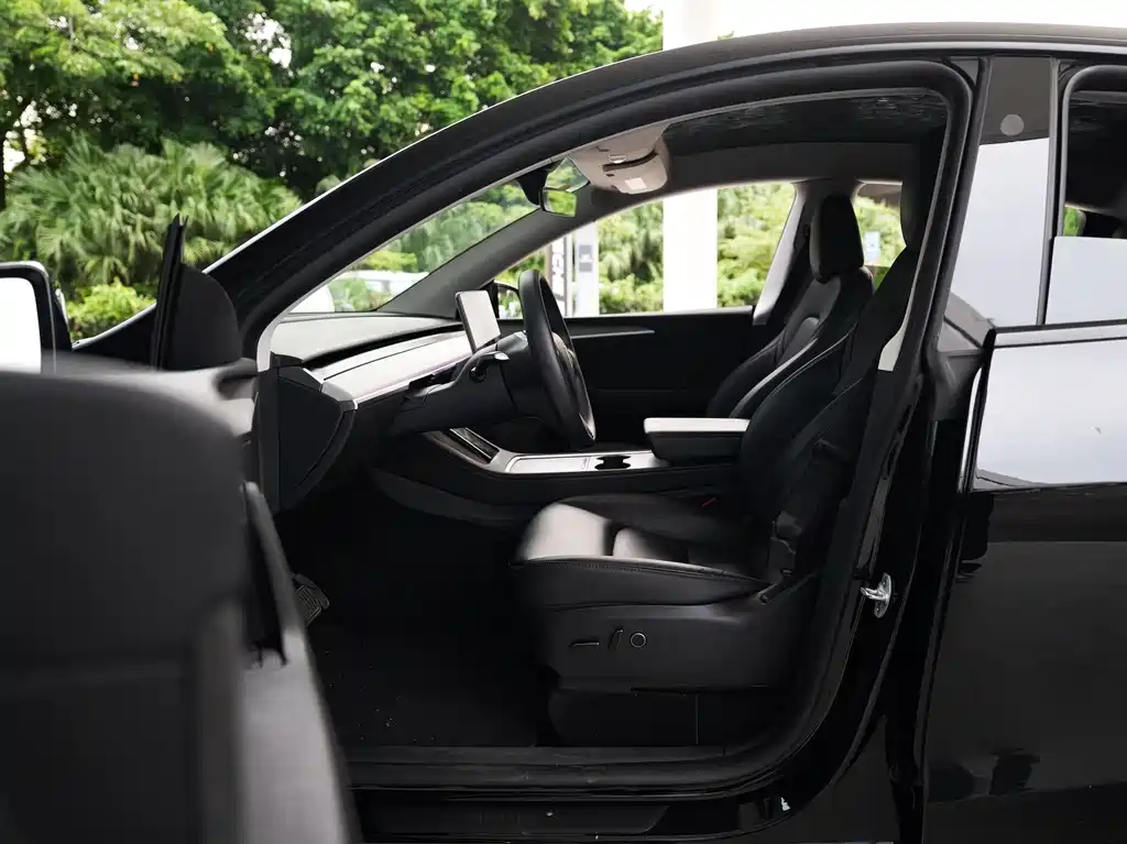 Tesla Model Y — миниатюра 5