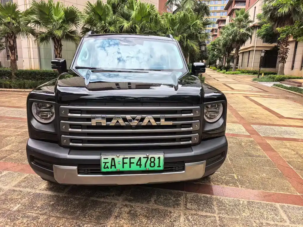 Haval Menglong New Energy — миниатюра 2