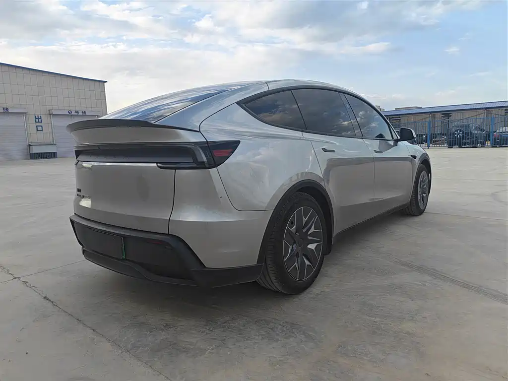 Tesla Model Y L — миниатюра 9