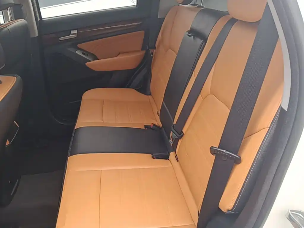 BAW Weiwang S50 — миниатюра 17