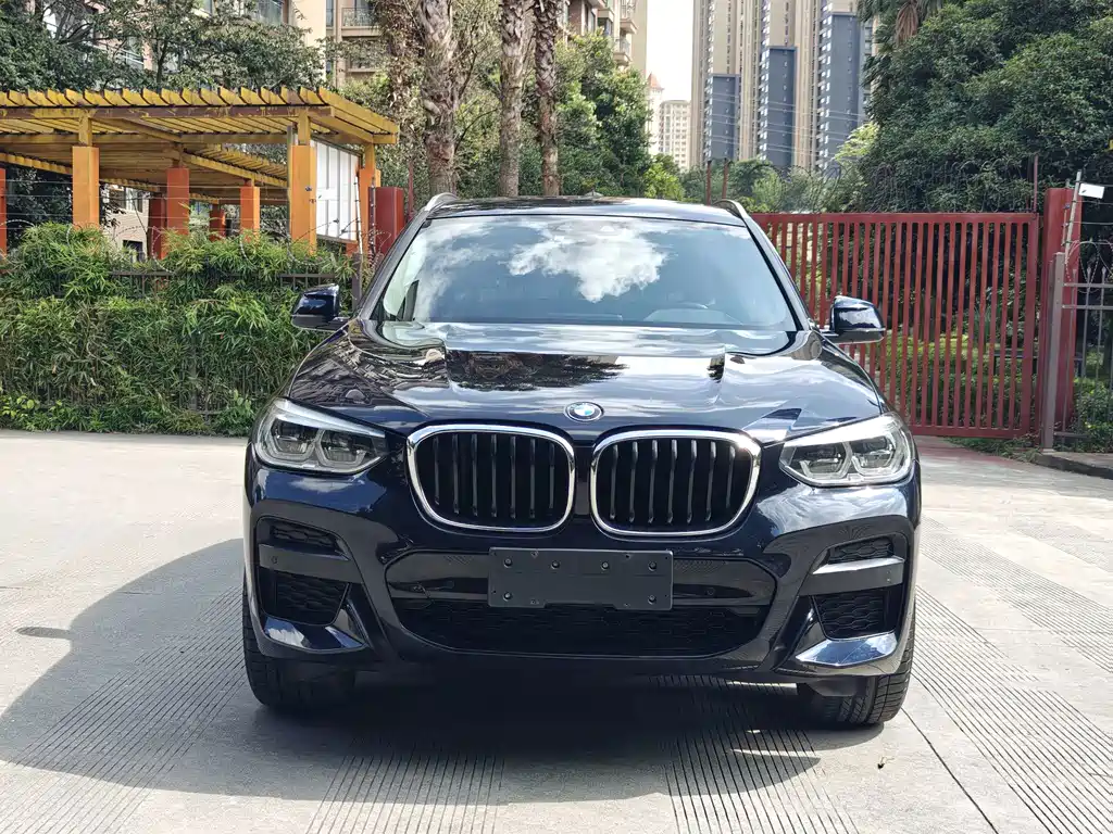 BMW X3 — миниатюра 2