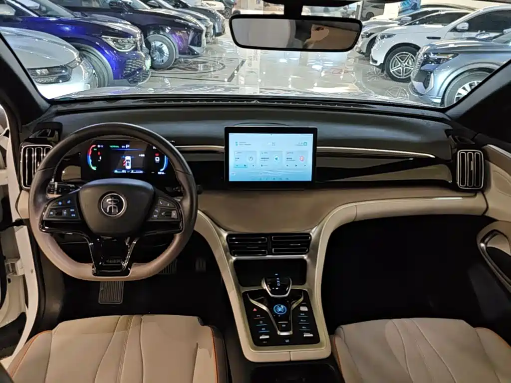 BYD Pro New Energy — миниатюра 10