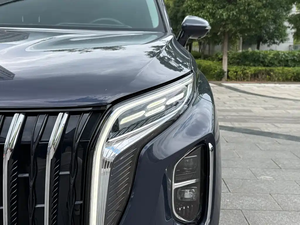 Hongqi Hongqi HS7 — миниатюра 8