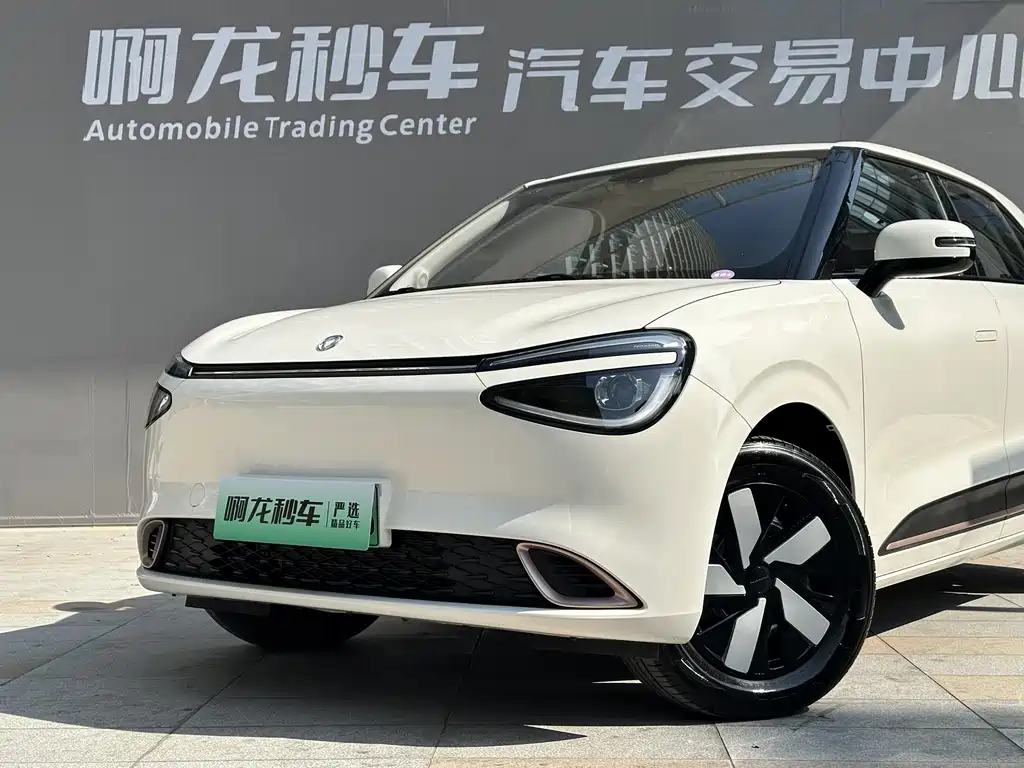 DONGFENG NANO 01