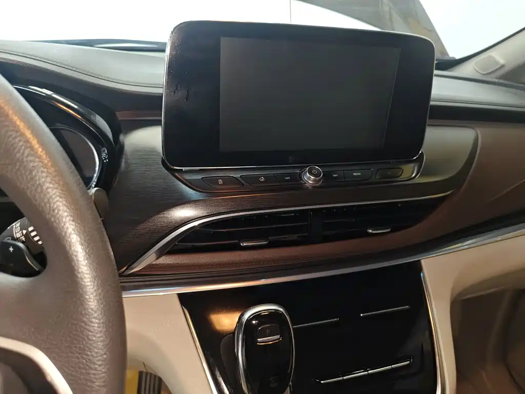 Buick GL8 — миниатюра 13
