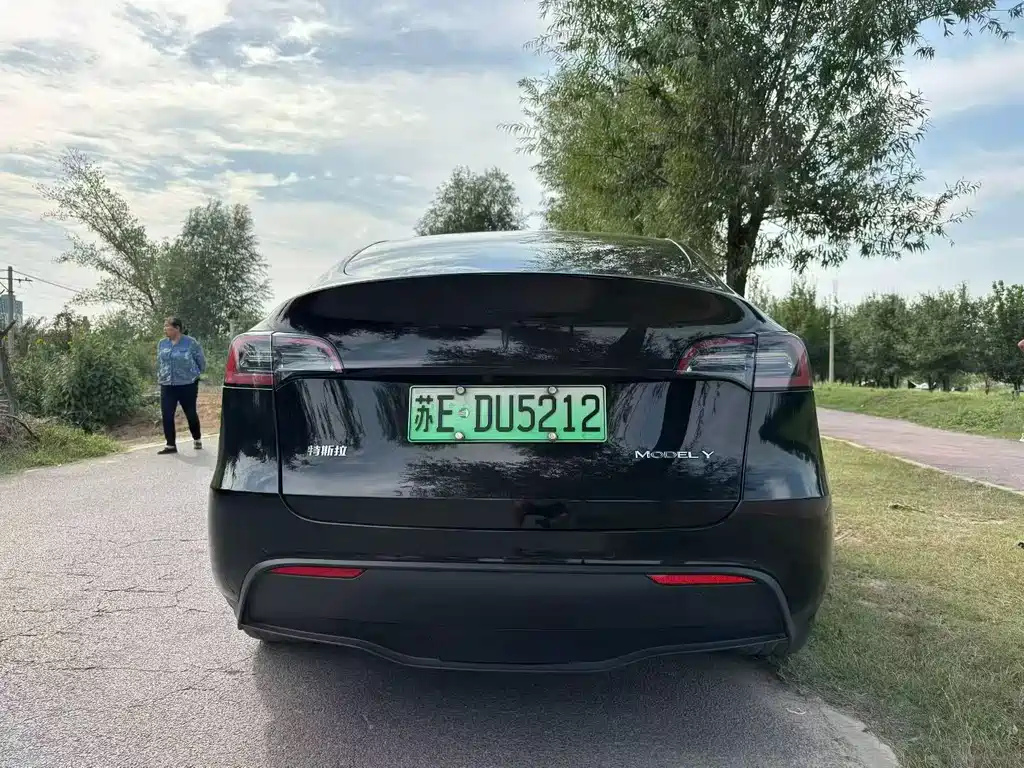 Tesla Model Y — миниатюра 8