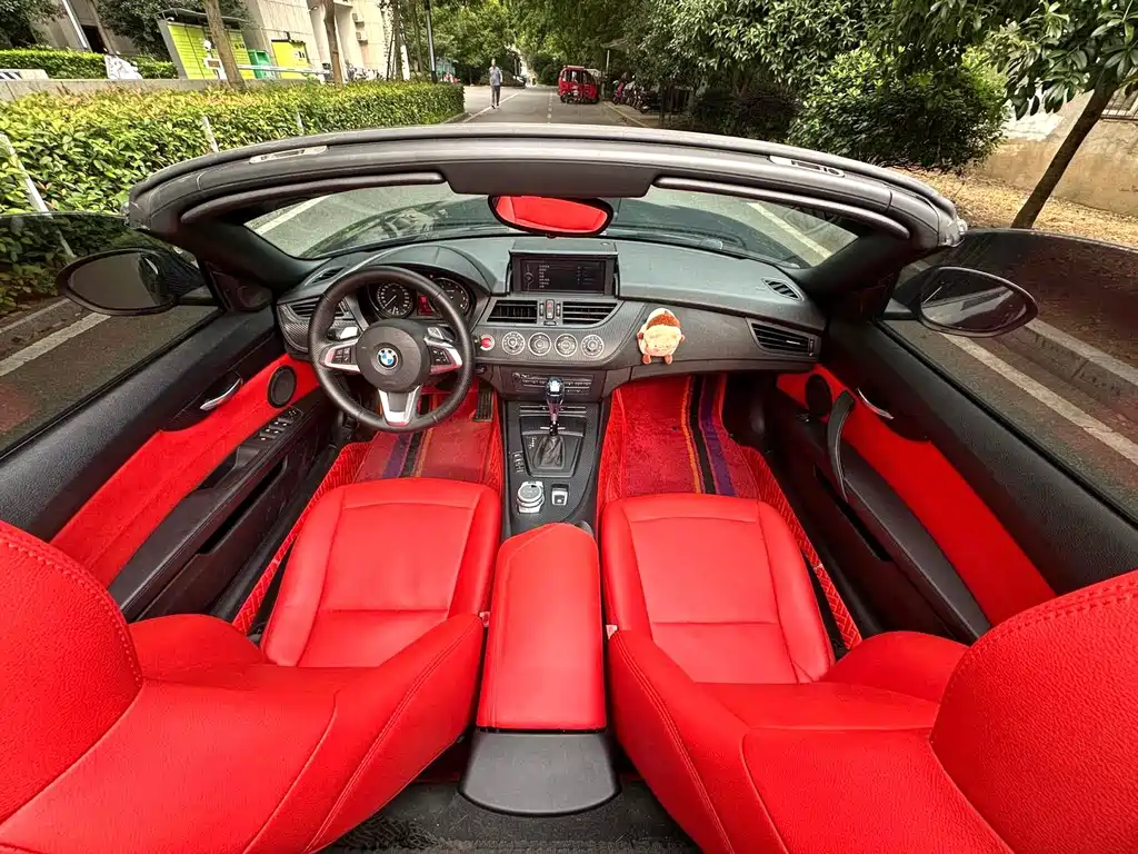 BMW Z4 2009 sDrive23i Lead