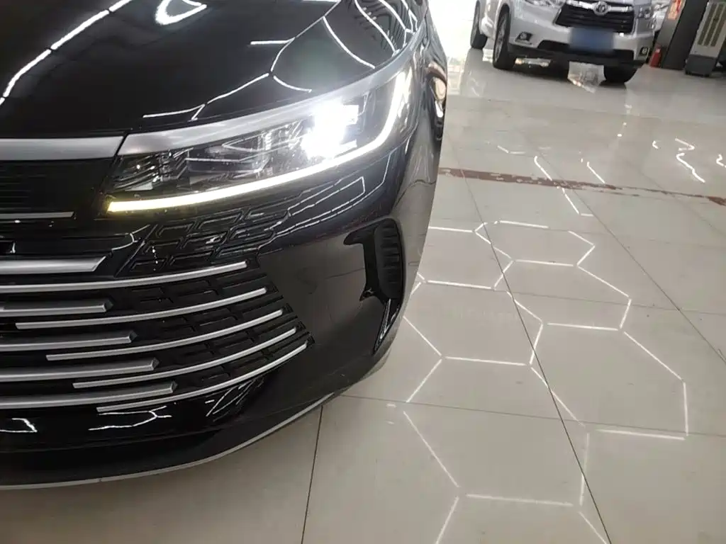 BYD Destroyer 05 — миниатюра 24