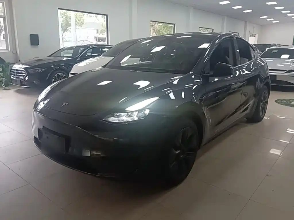 Tesla Model Y — миниатюра 2