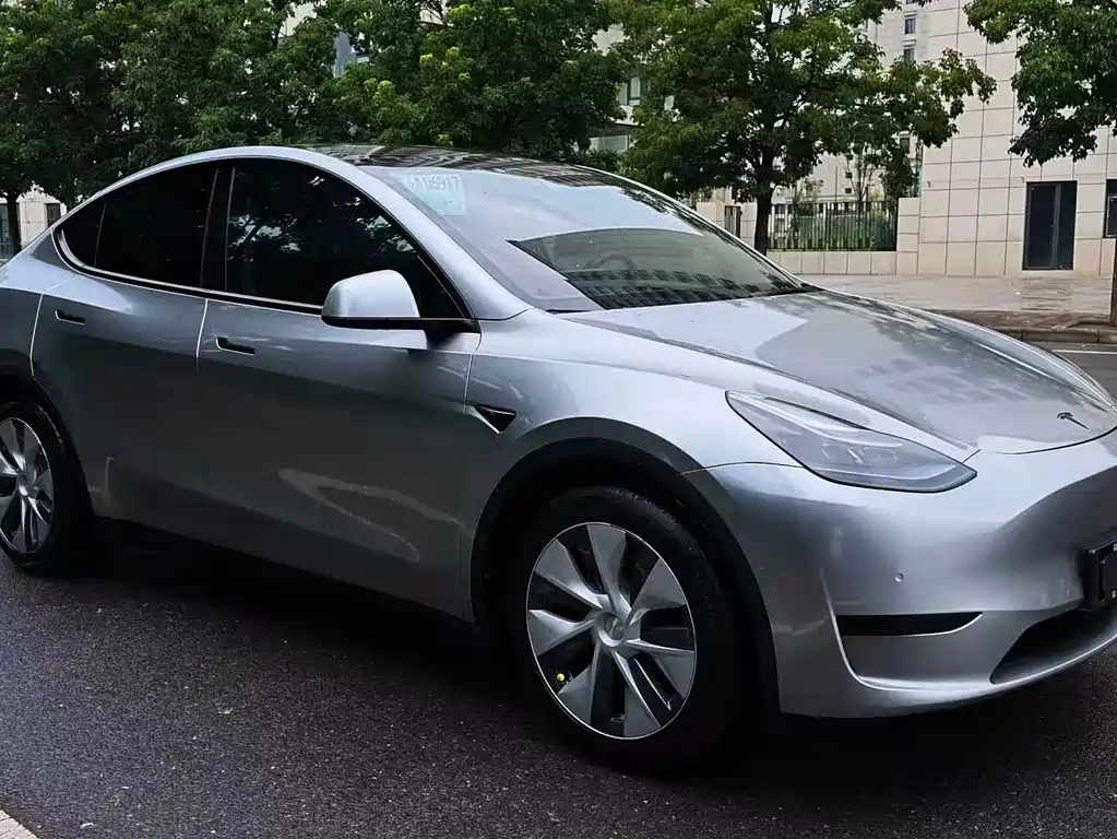 Tesla Model Y — миниатюра 3