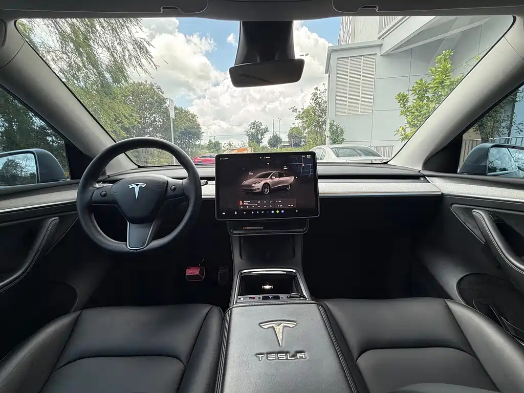 Tesla Model Y — миниатюра 6