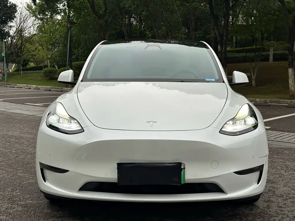 Tesla Model Y — миниатюра 2