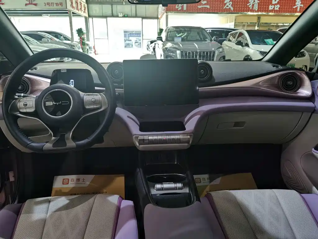 BYD Dolphin — миниатюра 6