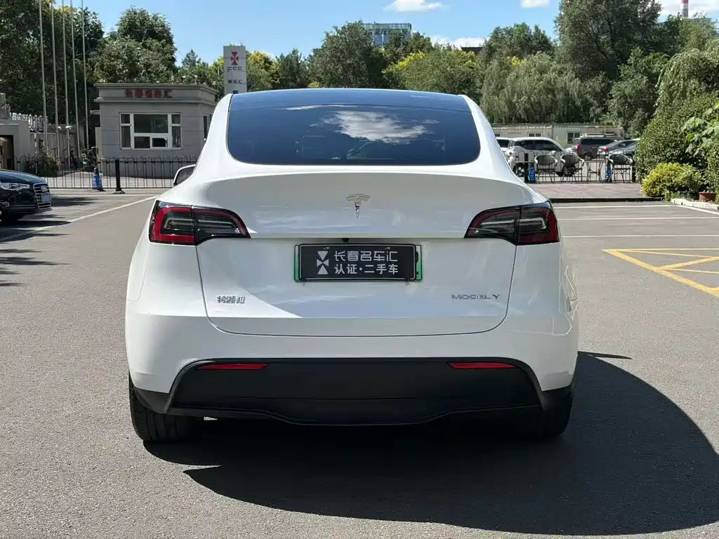 Tesla Model Y — миниатюра 6