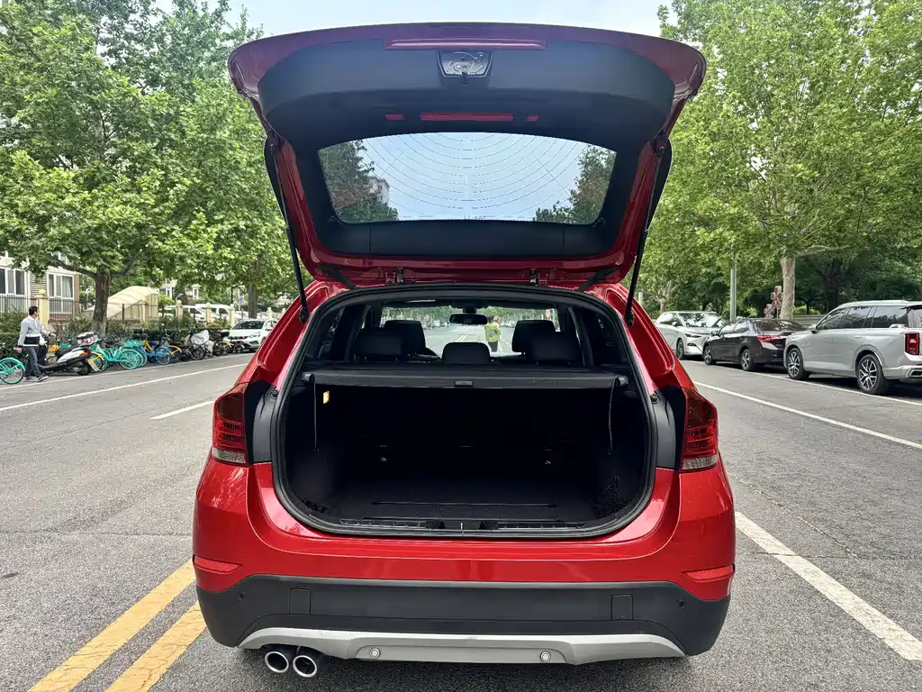BMW X1 2015 sDrive18i Lead