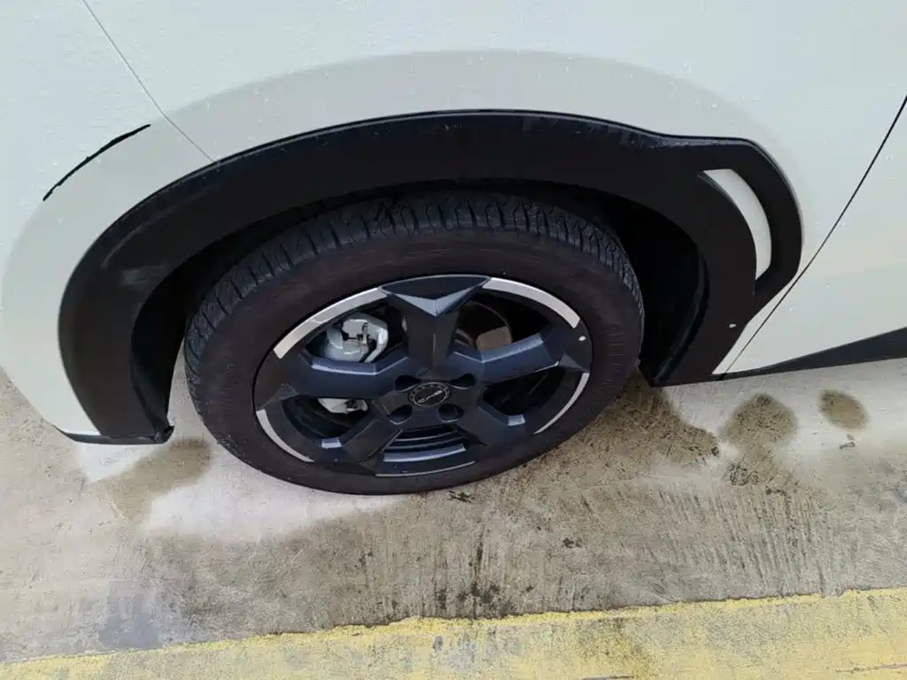 BYD Seagull — миниатюра 23