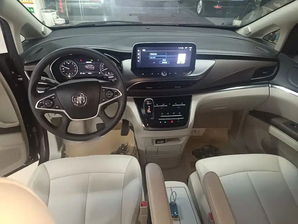Buick GL8 — миниатюра 10