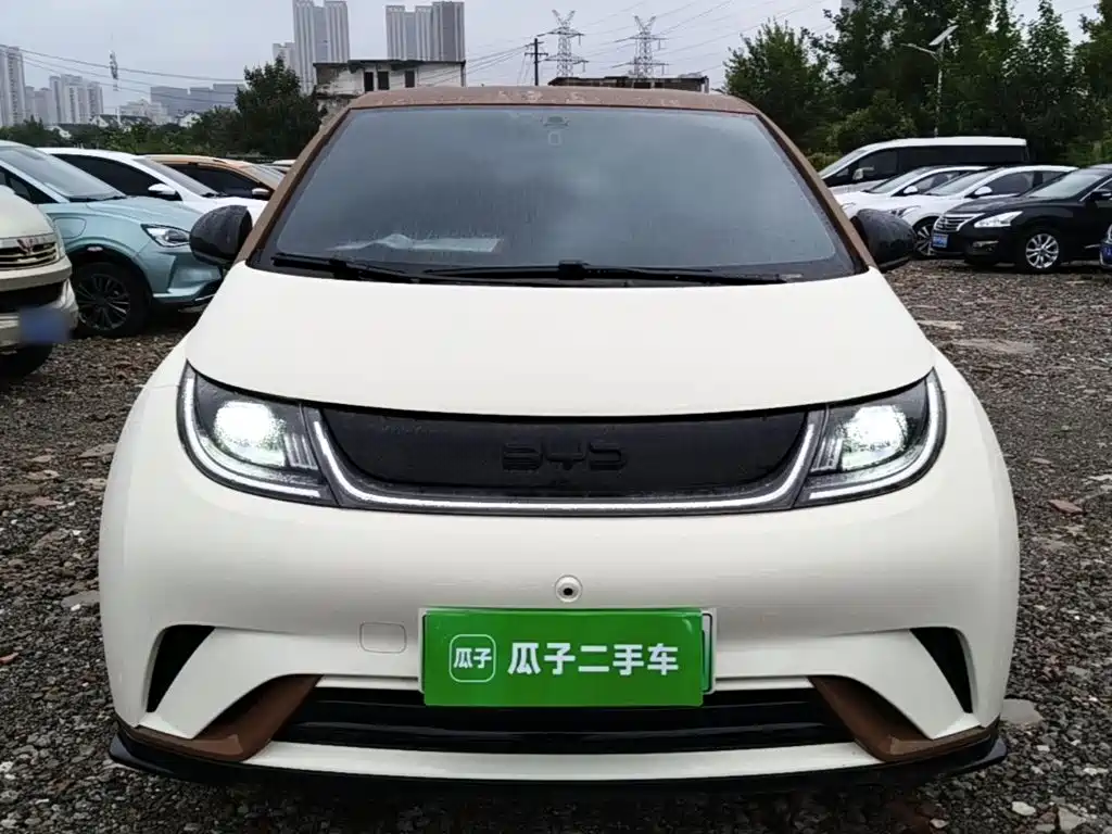 BYD Dolphin — миниатюра 3
