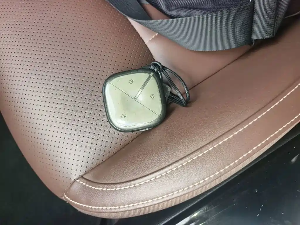Wuling Binguo 2023 333km +