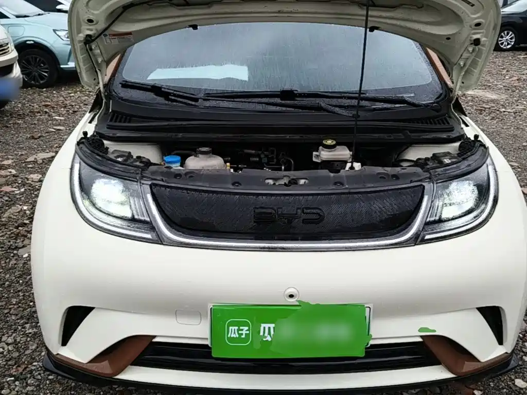 BYD Dolphin — миниатюра 20