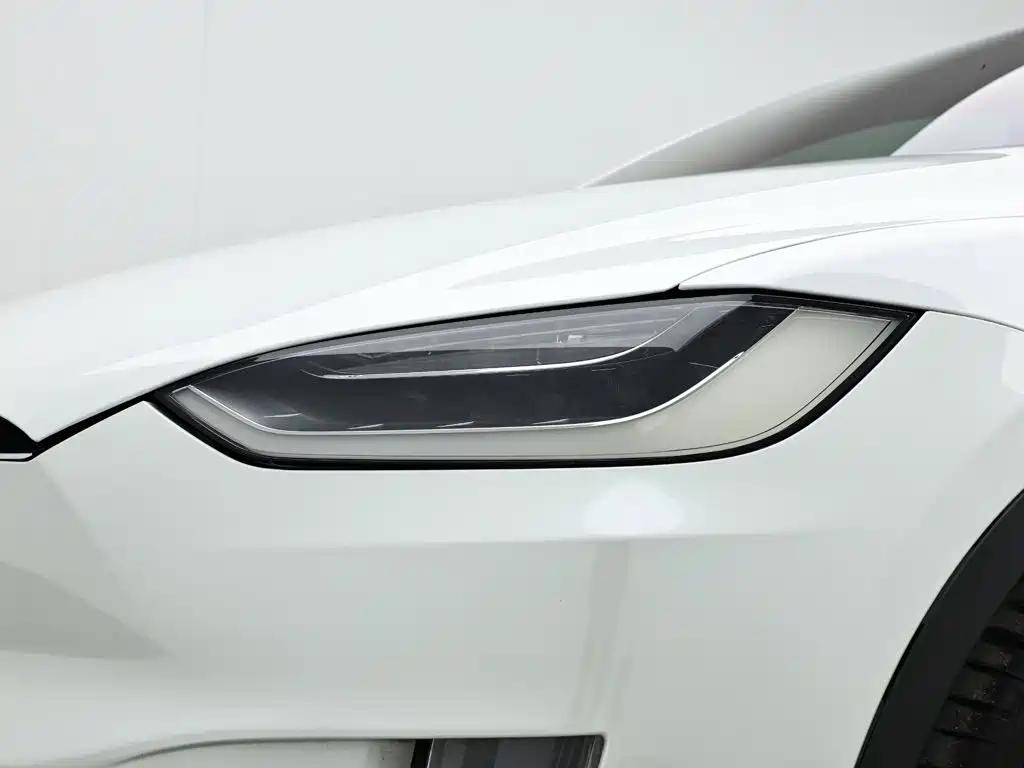 Tesla Model X — миниатюра 10