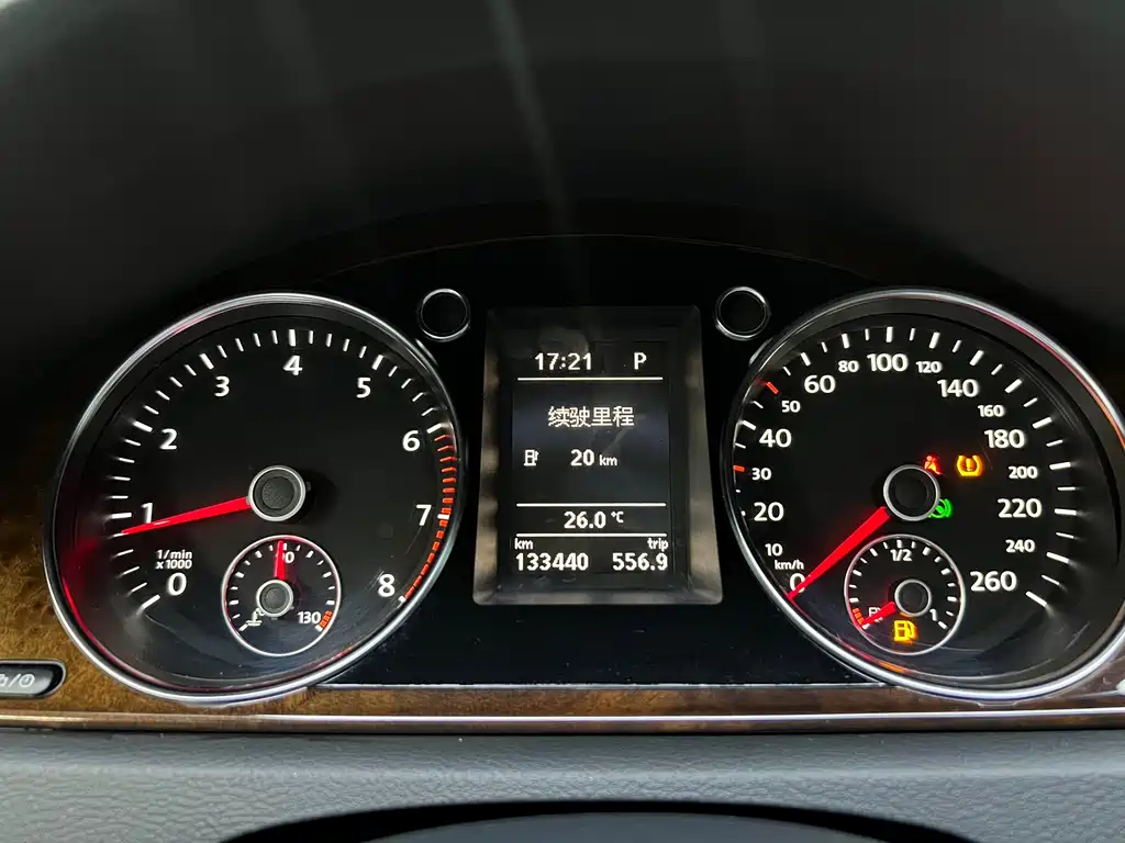Volkswagen Magotan (Import) — миниатюра 6