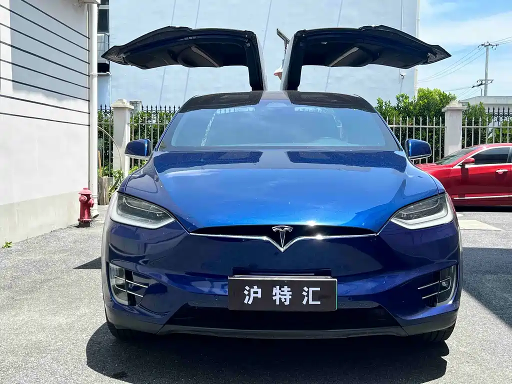 Tesla Model X — миниатюра 2
