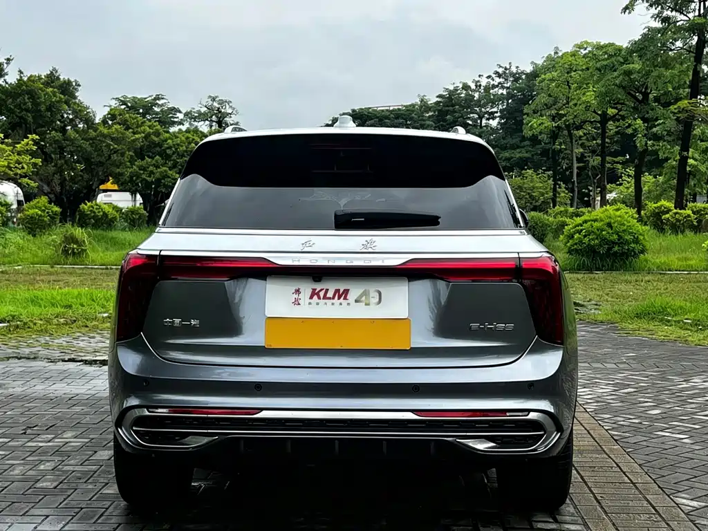 Hongqi Hongqi E-HS9 — миниатюра 5