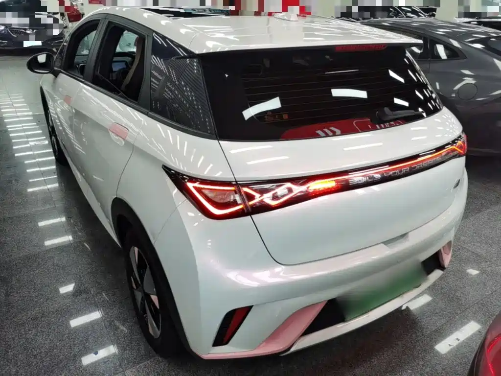 BYD Dolphin 2023 420km Fashion