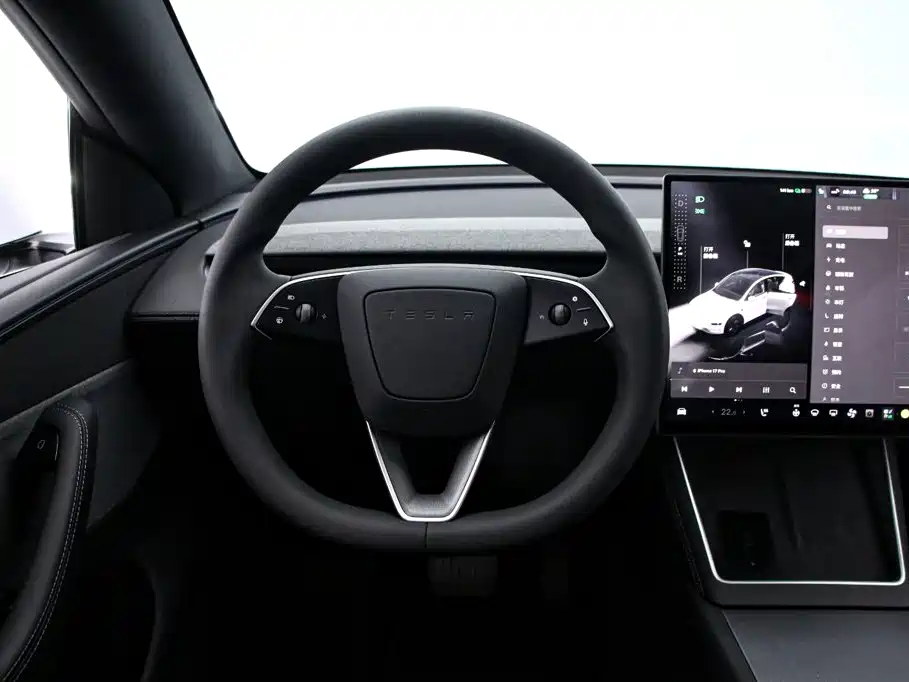 Tesla Model Y — миниатюра 7