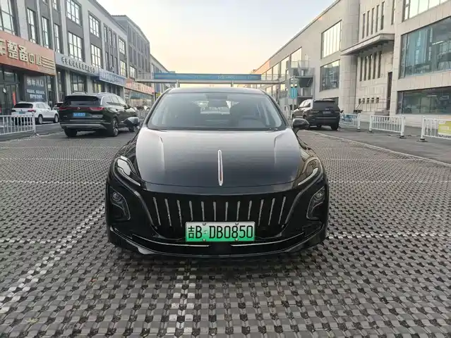 Hongqi HONGQI E QM5 2024