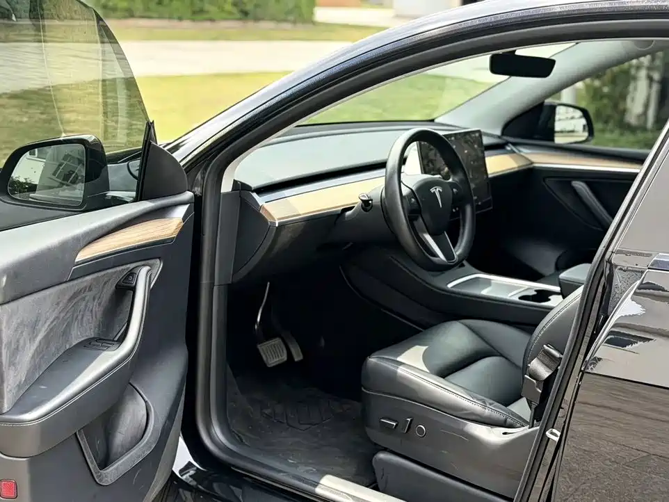 Tesla Model Y — миниатюра 4