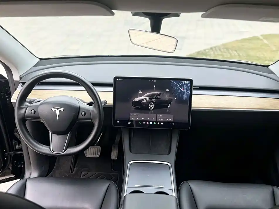 Tesla Model Y — миниатюра 5