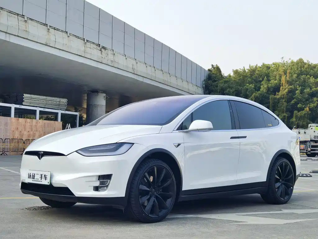 Tesla Model X 2020