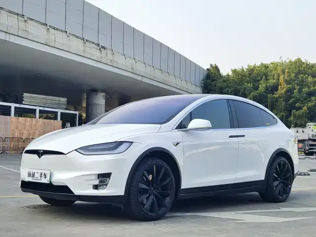 TESLA MODEL X 2020