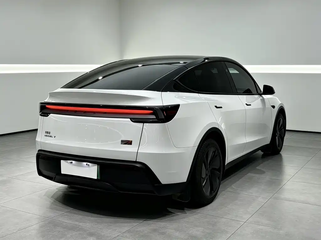 Tesla Model Y — миниатюра 13