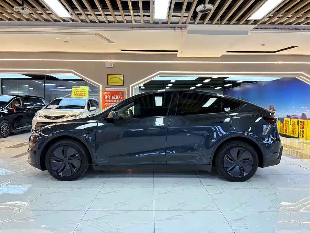 Tesla Model Y — миниатюра 2