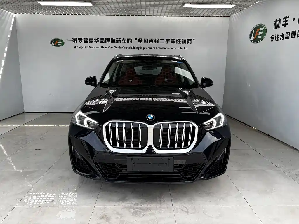 BMW X1 — миниатюра 3