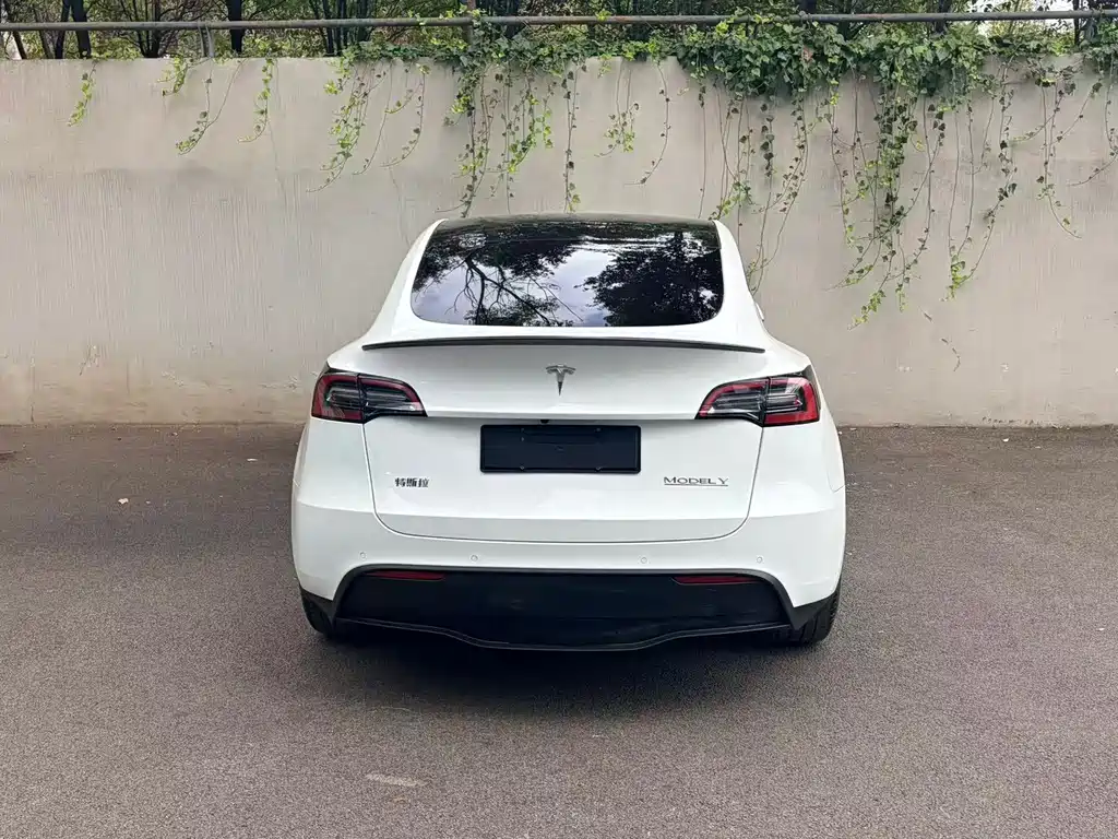 Tesla Model Y — миниатюра 2